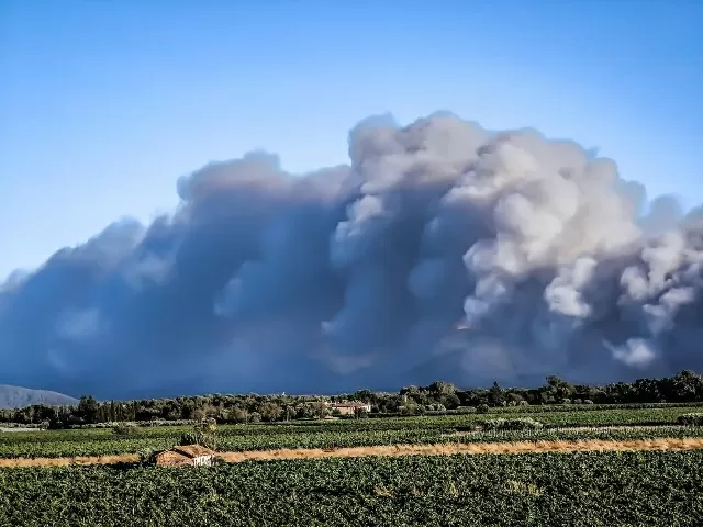 Wildfires In France Thousands Evacuated Hundreds Of Firefighters Sent