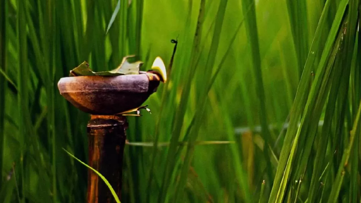 Kati Bihu Date Significance History Know Everything About The