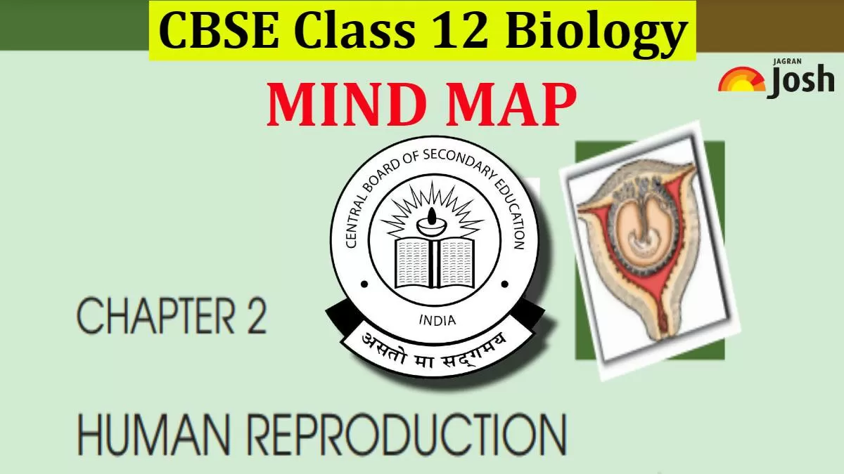 CBSE Human Reproduction Class 12 Mind Map For Chapter 2 Of Biology