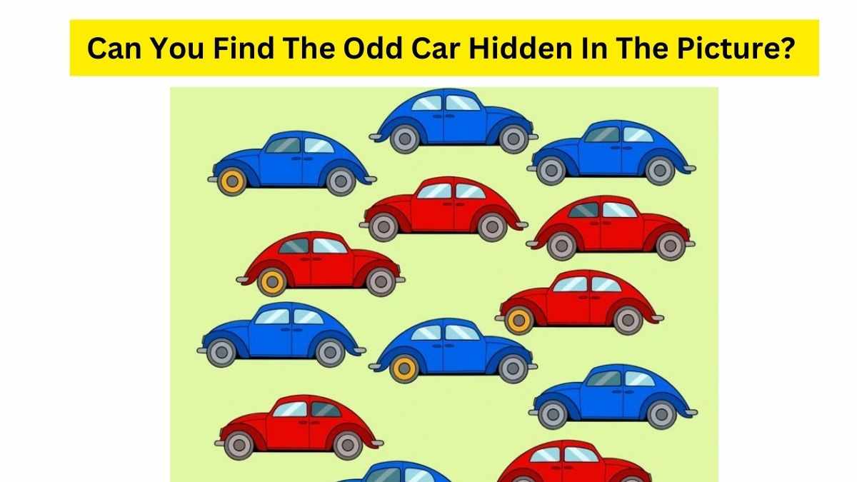 Brain Teaser For Iq Test Only Someone With An Eye For Details Can Find