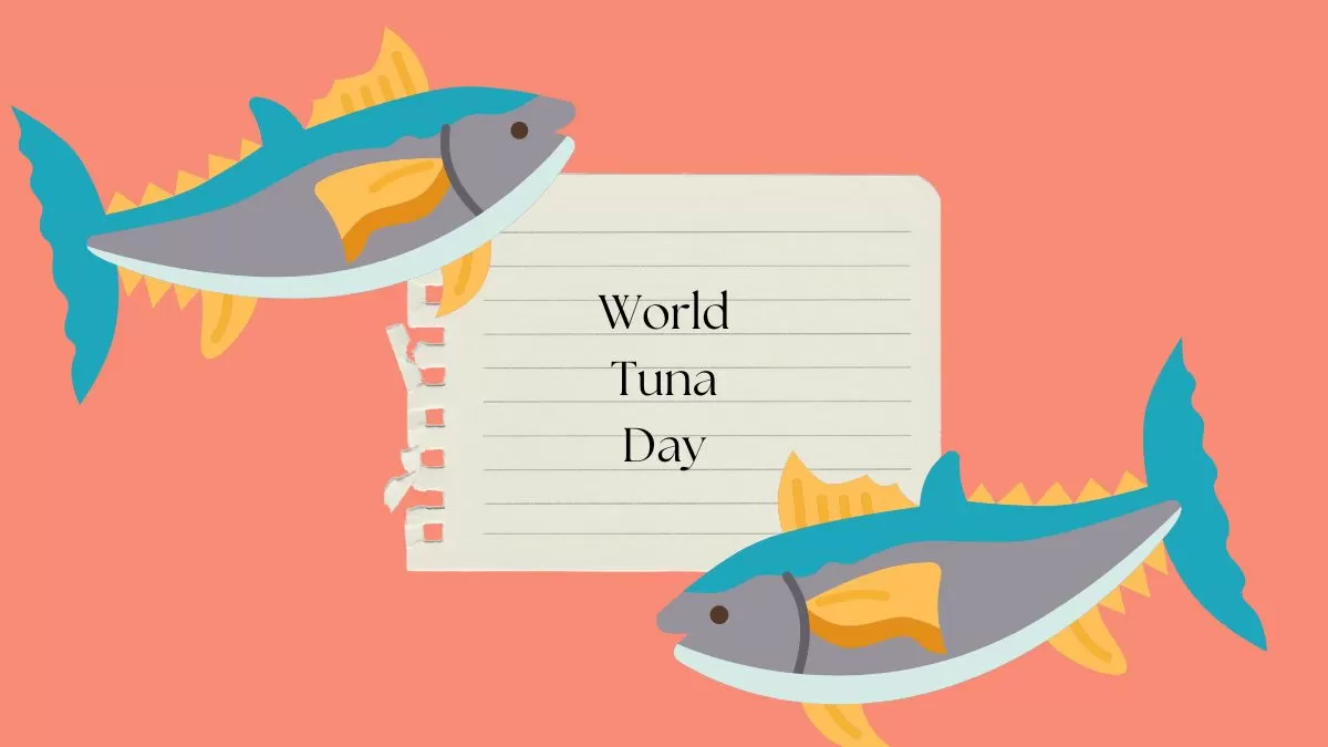 World Tuna Day Interesting Facts About The Giant Sea Creature