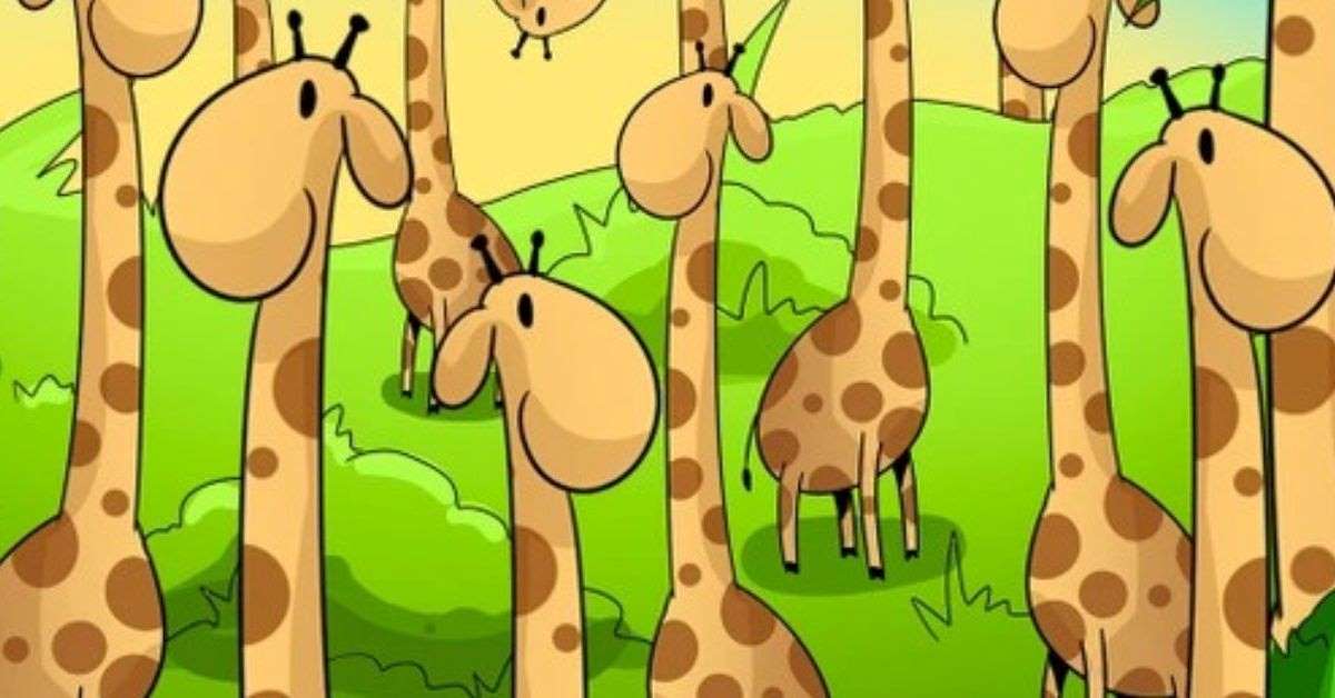 Seek And Find Puzzle Can You Find The Hidden Snake Among The Giraffes