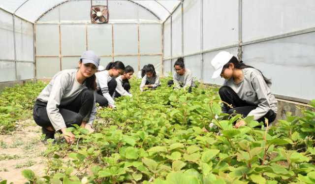 Various Careers in Indian Agriculture