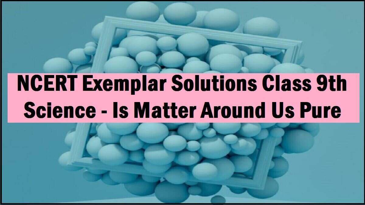 NCERT Exemplar Solutions Class 9 Science Chapter 2 