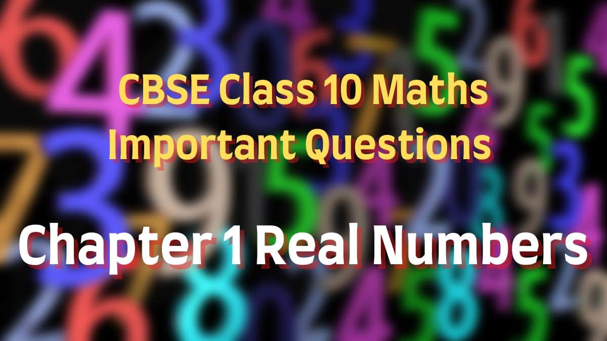 Important Questions for CBSE Class 10 Maths Chapter 1 Real Numbers - Also get the Answers