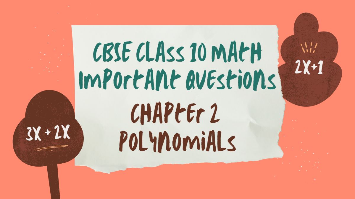 CBSE Class 10 Maths Chapter 2 Important Questions and Answers for 2023