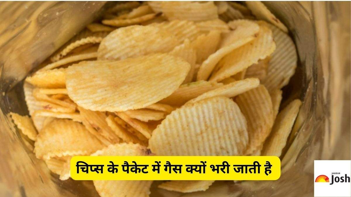 why gas is filled in chips packet know the science behind it 