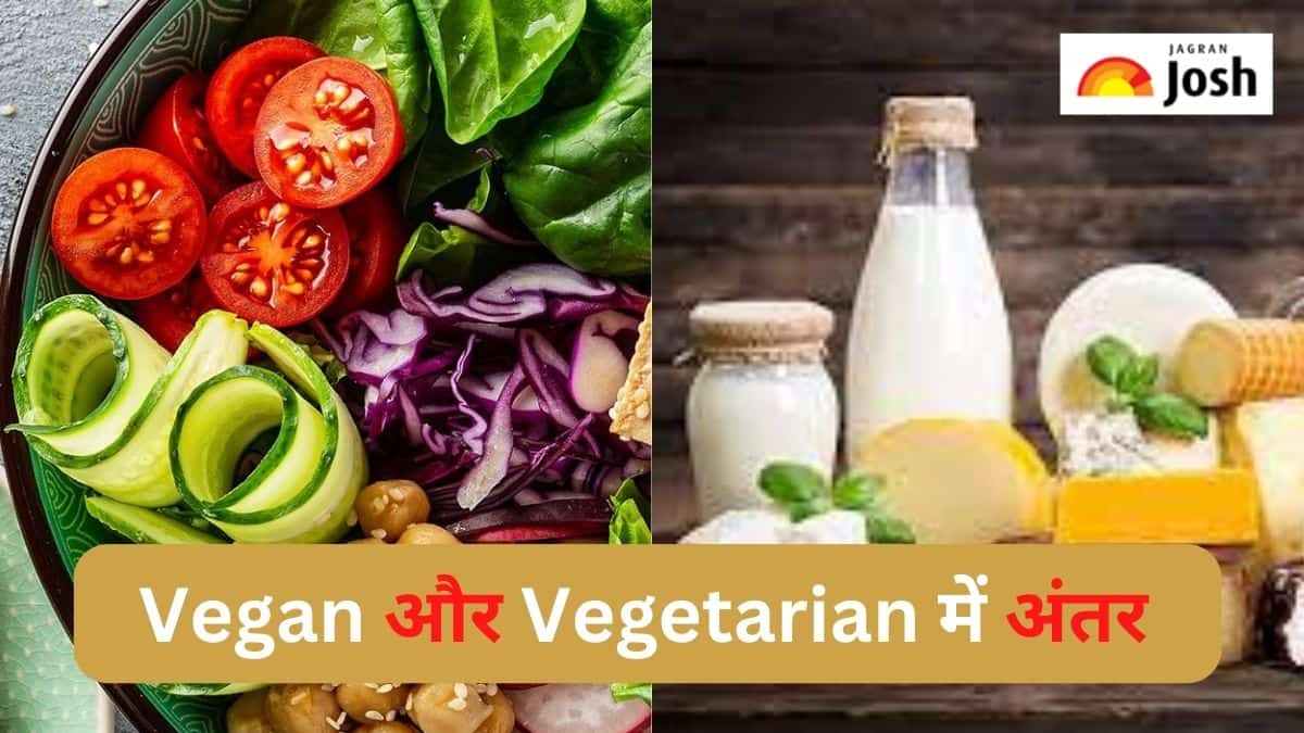 Difference: Vegetarian और Vegan में क्या होता है अंतर, जानें 