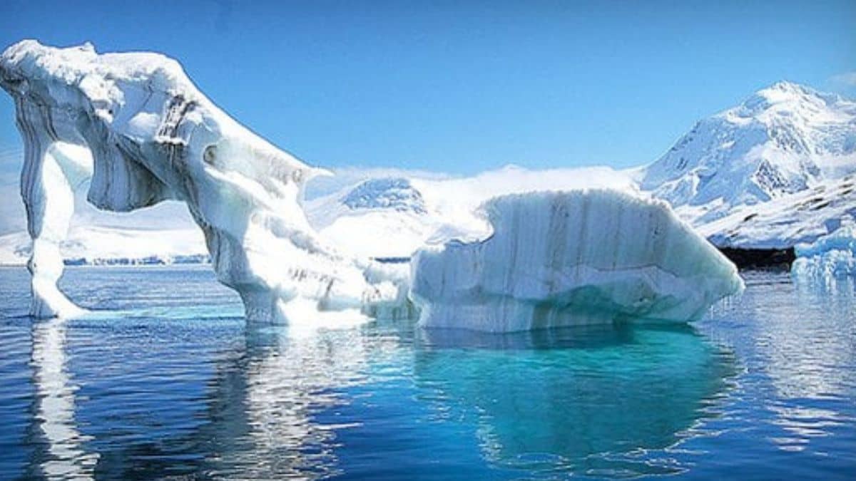 Difference: Arctic और Antarctica में क्या होता है अंतर, जानें  