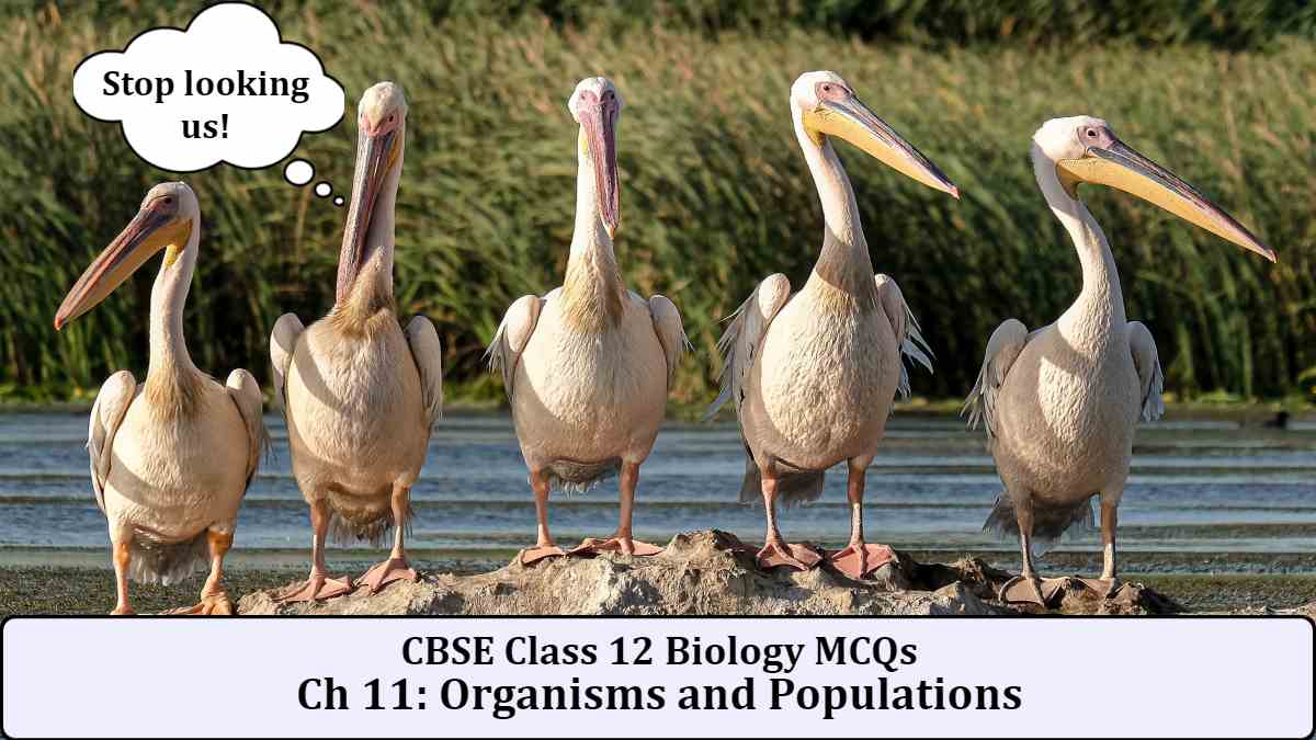 Download MCQs PDF for CBSE Class 12 Biology Chapter 11 Organisms and Populations