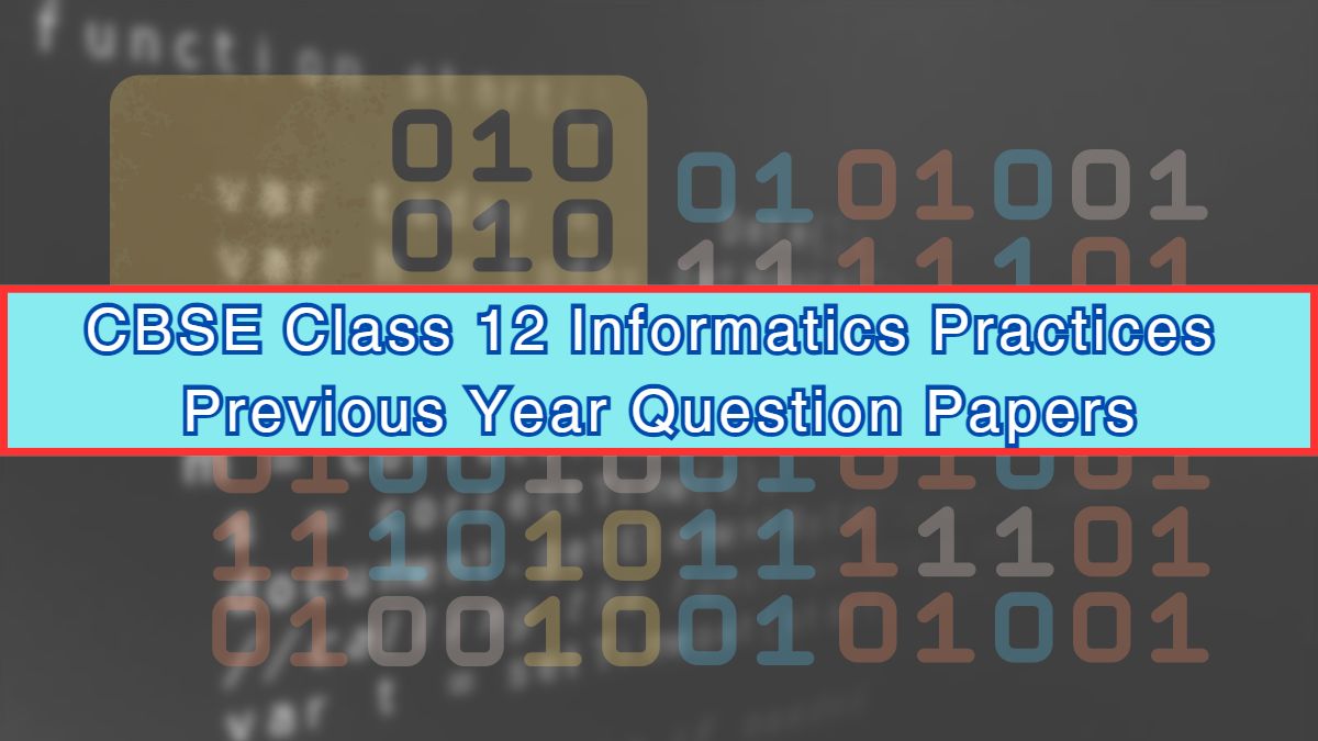CBSE Class 12 Informatics Practices Previous Year Paper