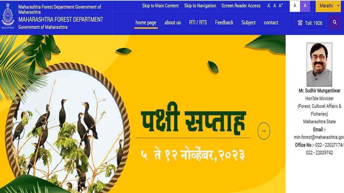 Mahaforest Result 2023: Check Download Link