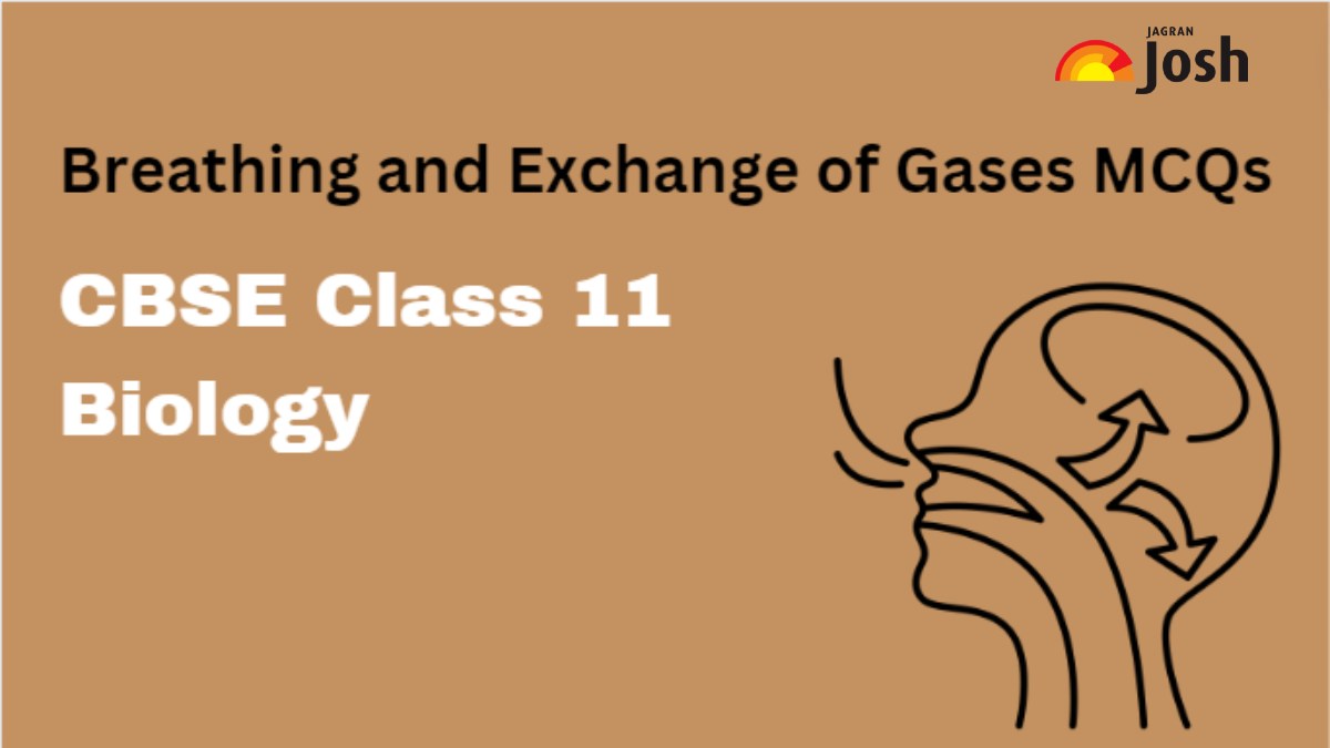 CBSE Breathing and Exchange of Gases Class 11 MCQs