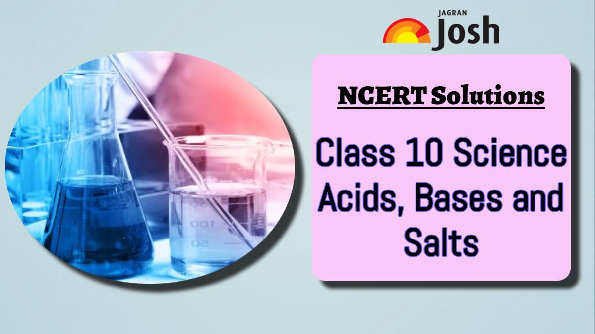 NCERT Solutions for Class 10 Science Chapter 2 Acids, Bases and Salts