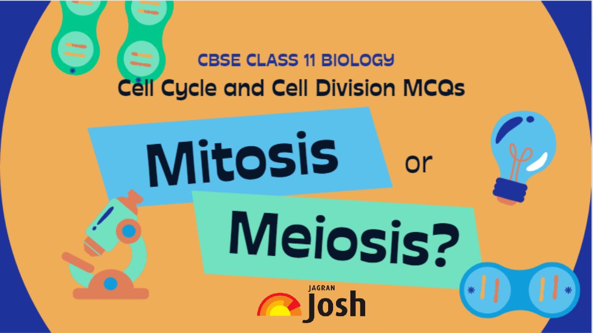 CBSE Cell cycle and cell division Class 11 MCQs