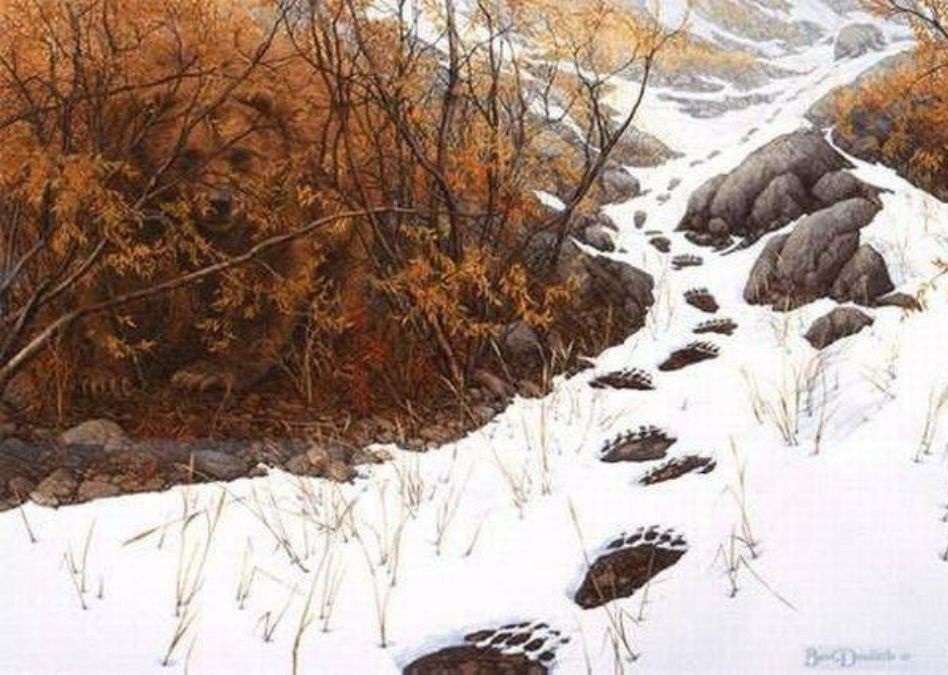 find-hidden-bear-optical-illusion