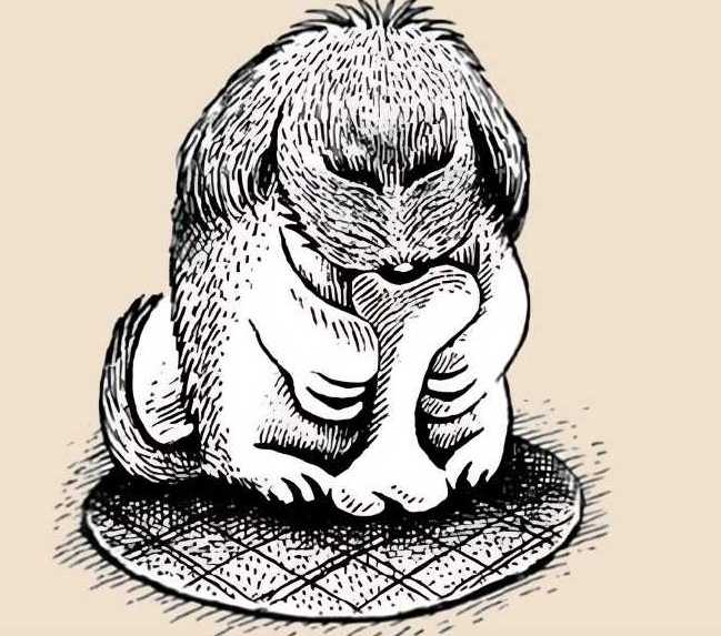 find the hidden animal solved