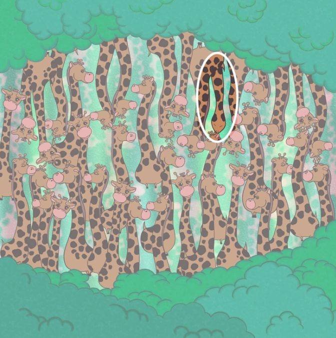 find hidden animals optical illusions pictures with answers find-the-snake-optical-illusion-with-answers