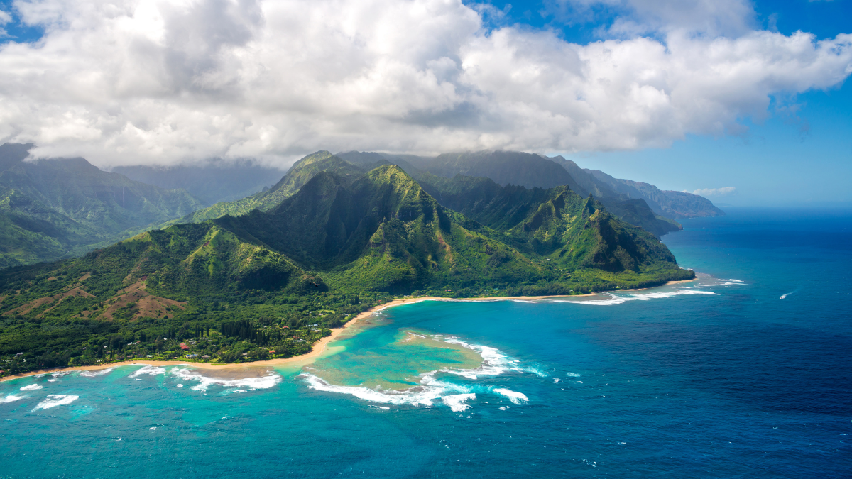 most common jobs in the us (7)