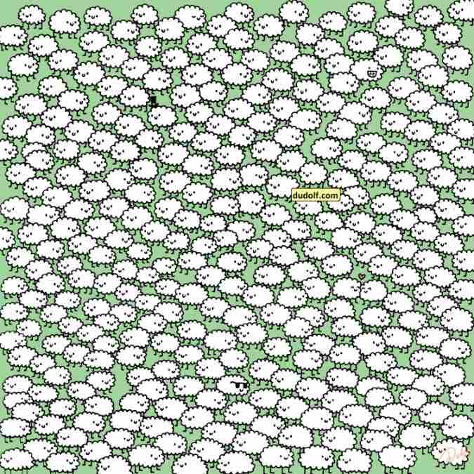 find hidden clouds among sheep picture puzzles with answers find-hidden-clouds-picture-puzzle