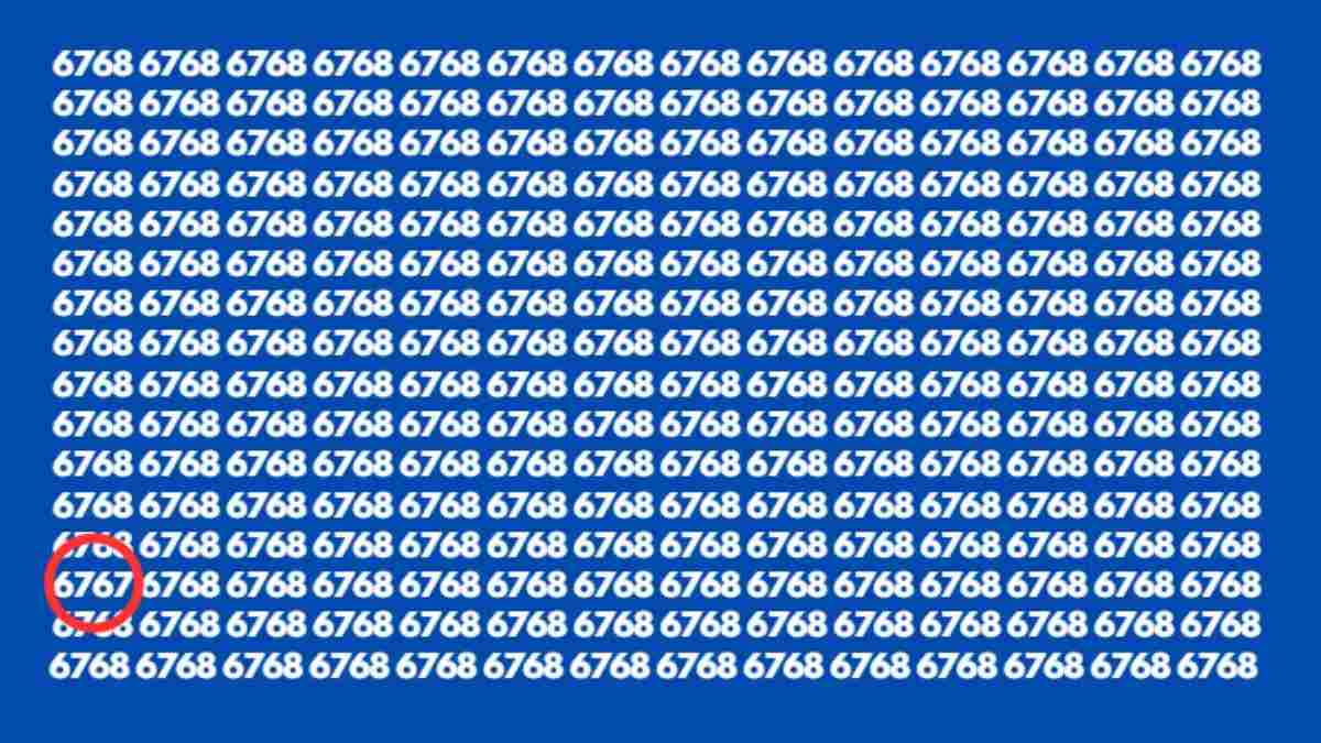 find-hidden-number-6767-among-6768-optical-illusion-answer