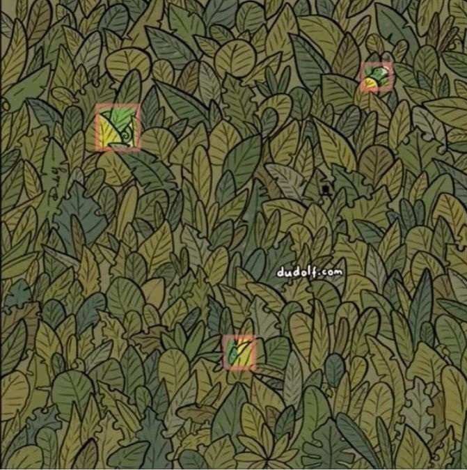 hidden animals picture puzzles with answers find-the-hidden-chameleon-picture-puzzle-answer