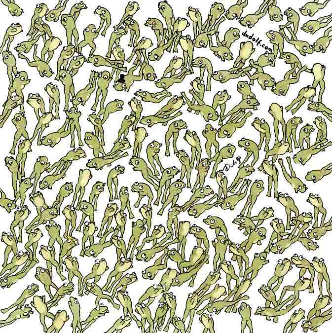 which-frog-is-leaping-picture-puzzle