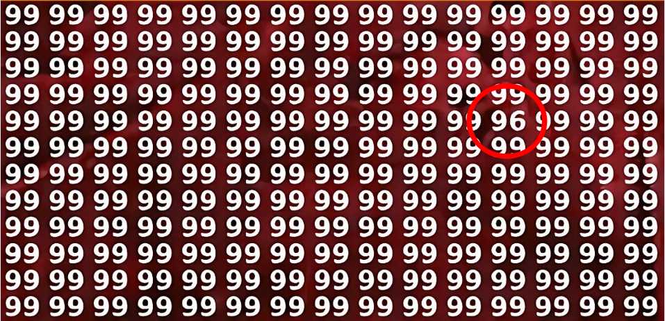 FIND 96 AMONG 99 solved