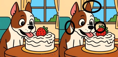 dogcake-sol