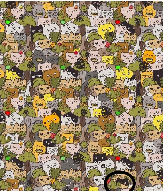 7d0c19b9bbe15647b2caab9f93123a13-one