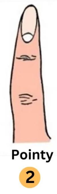pointy-finger-shape-personality-traits