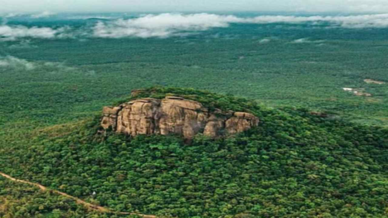 Official Website (23)-compressed (1)