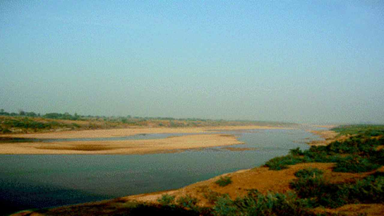 Official Website (24)-compressed