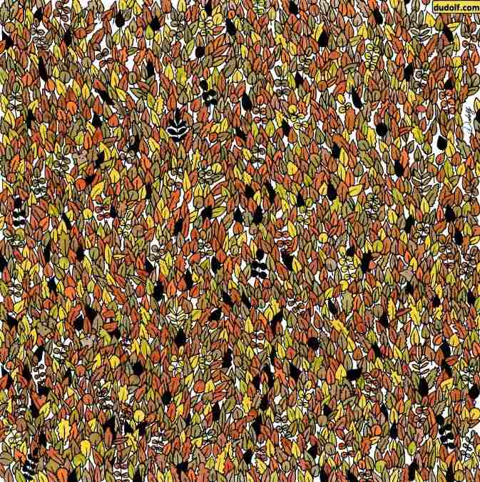 hidden mice picture puzzles with answers find-hidden-mice-picture-puzzles