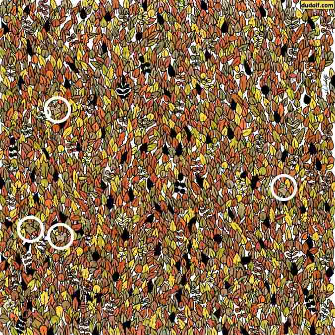 hidden mice picture puzzles with answers find-hidden-mice-picture-puzzles-with-answers