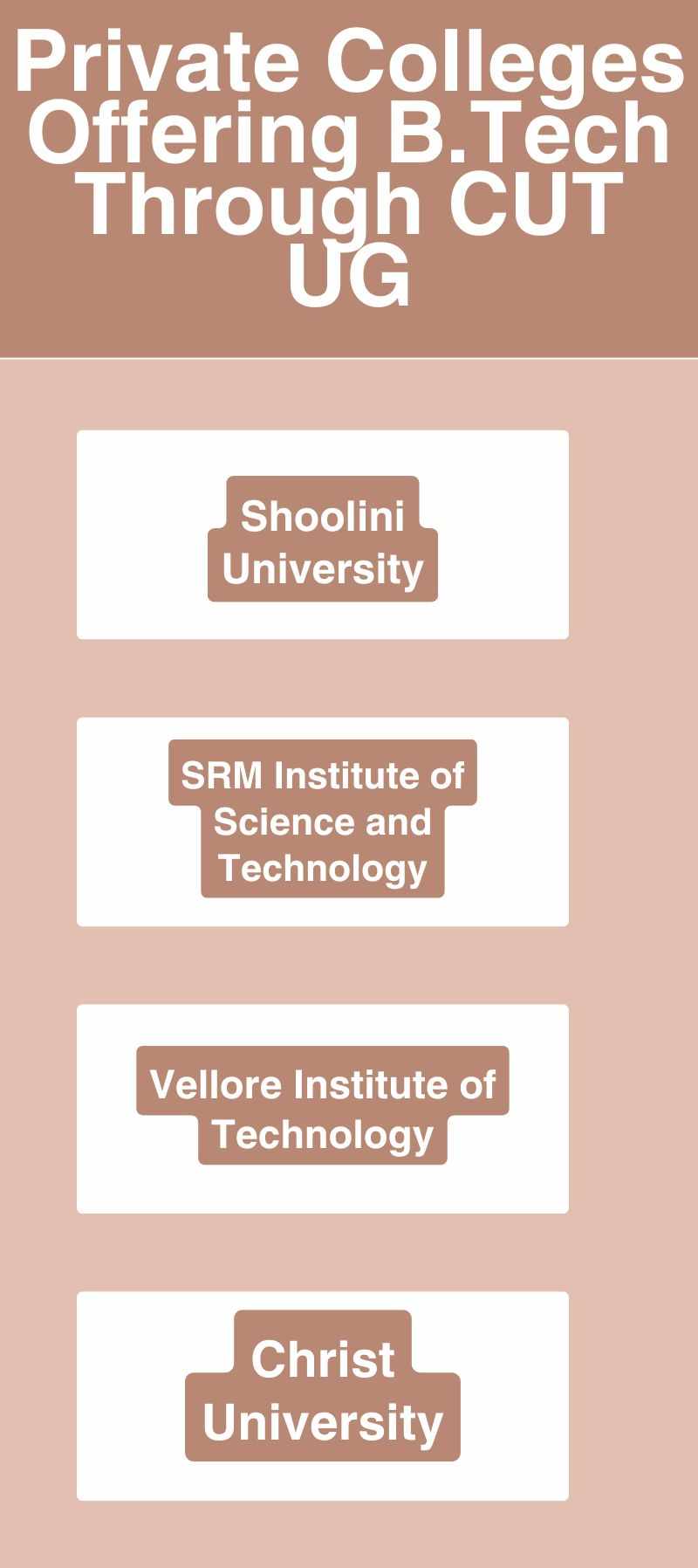 Private Colleges Offering BTech Course Through CUET UG