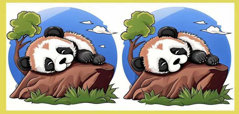 spot 3 differences panda