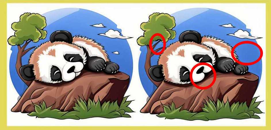 spot 3 differences panda solved