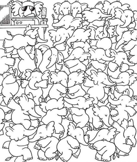 hidden whale optical illusions with pictures find-hidden-whale-optical-illusion