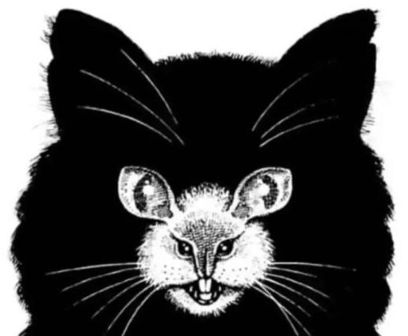 what-you-see-first-reveals-personality