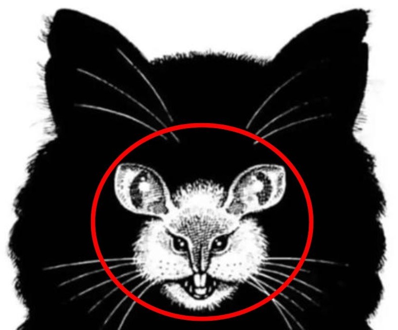 what-you-see-first-reveals-personality-traits-mouse