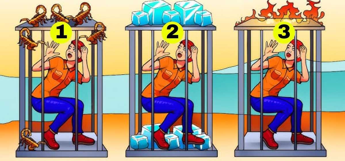 which cage is safe brain teaser with answer which-cage-is-safe-brain-teaser