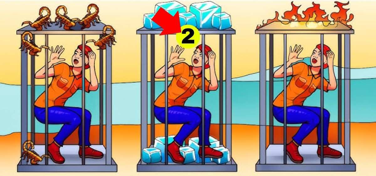 which cage is safe brain teaser with answer which-cage-is-safe-brain-teaser-answer