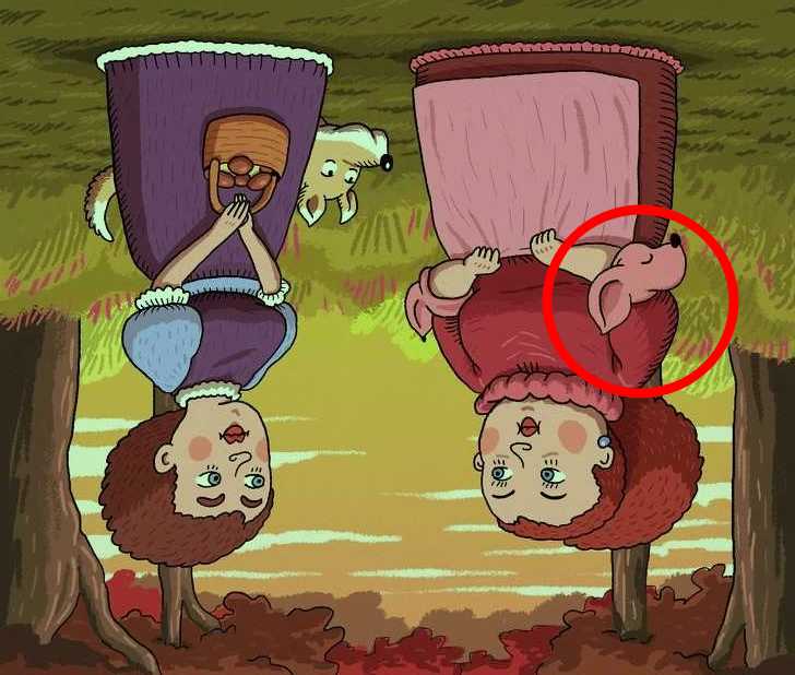 find the second dog solved