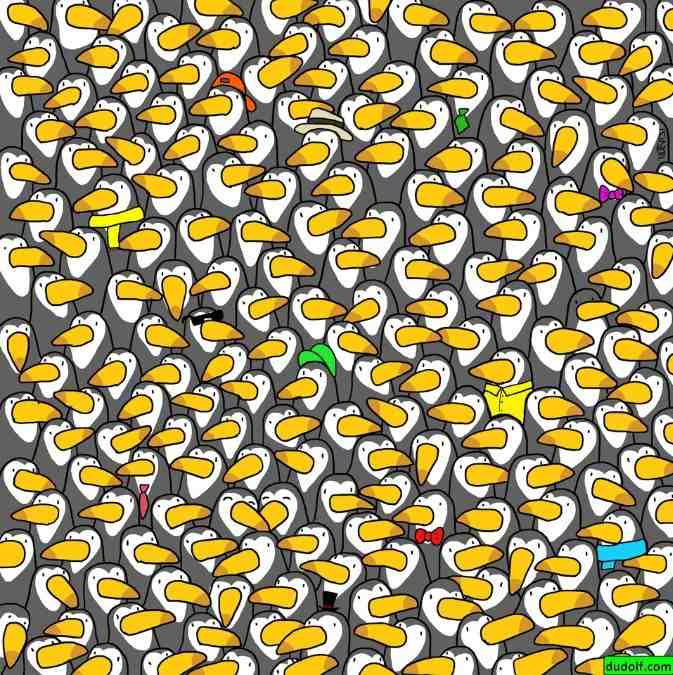 hidden animals picture puzzles with answers find-the-penguin-picture-puzzle