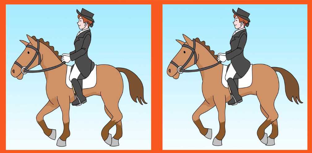 spot 3 differences horse rider