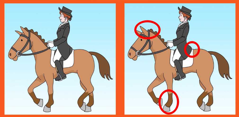 spot 3 differences horse rider solved