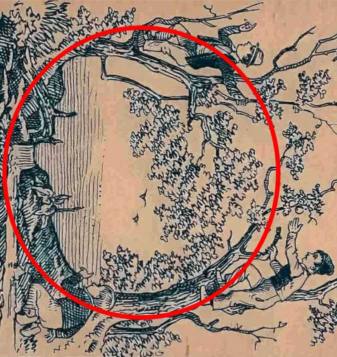 find fourth guy solved