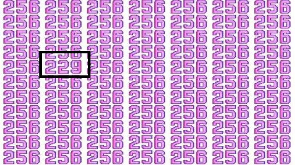 puzzle_1753446306189_1753446325248