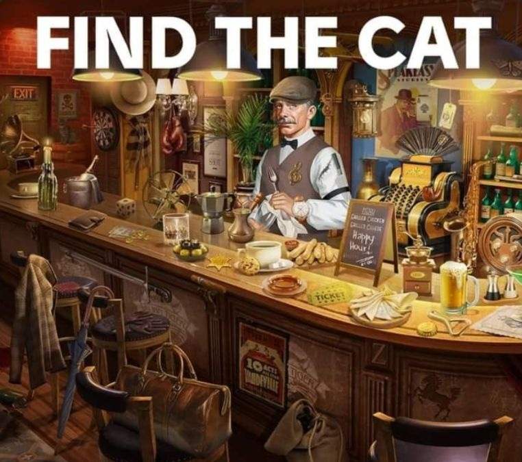 find hidden cat puzzle find-hidden-cat-picture-puzzle